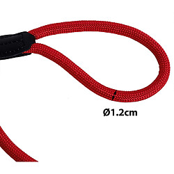 Dibea Laisse Retriever, Laisse pour Chien, Laisse de Dressage, Laisse de Traction, différentes Couleurs et Longueurs Disponibles (170 cm, Rouge)