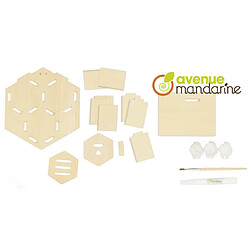 Avis Avenue Mandarine Boîte créative Bug House to Build