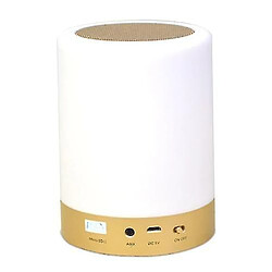 Universal BT Small haut-parleur intelligent 3d autour de Portable Mini Coran Speaker pas cher