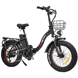 Avis Vélo Électrique DrveTion CT20 - Moteur 750W Batterie 48V20AH - Noir