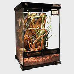 Avis Reptile Vivarium Rotin Vigne