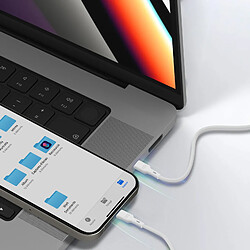 Avis Bluestar Blue Star Câble de Charge et Synchronisation USB C vers Lightning 27W Blanc