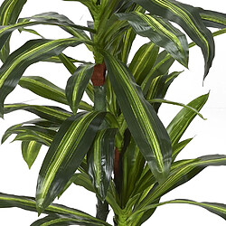 Avis The Home Deco Factory Plante artificielle Dracaena 160 cm.