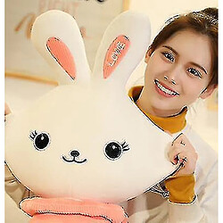 Acheter Universal 50 cm mignon lapin de lapin long oreiller en peluche Douche de Noël cadeau | oreillers en peluche