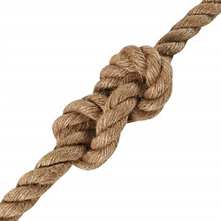 Acheter vidaXL Corde 100 % jute 12 mm 250 m