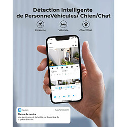 Acheter Reolink Caméra de Sécurité 12MP PoE Bullet Intelligente à Projecteur, Détection de Personne/Véhicule