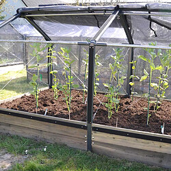 Grow Camp Carré potager premium en mélèze avec serre Siberian Longueur 240 cm.