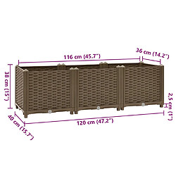 vidaXL Lit surélevé 120x40x38 cm Polypropylène pas cher