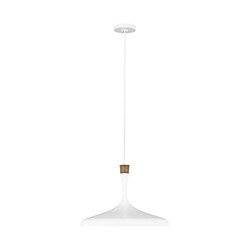 Elstead Lighting Suspension Darwin Acier Blanc mat