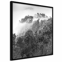 Paris Prix Affiche Murale Encadrée Foggy Forest 20 x 20 cm Noir