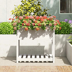 Avis Maison Chic Jardinière,Bac à fleurs - pot de fleur avec étagère Blanc 82,5x54x81 cm Bois massif de pin -GKD25704