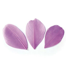 Graines Creatives 50 plumes coupées - Mauve 6 cm