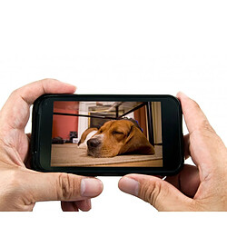 Avis Eyenimal Caméra de surveillance Pet Vision Live HD