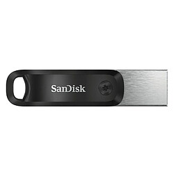 Clé USB SanDisk iXpand Flash Drive Go 64 Go Gris