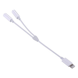 Avis Wewoo Adaptateur pour iPhone, iPad, Samsung, Huawei, Xiaomi, HTC 16cm 2 en 1 double 3.5mm femelle à Lightning audio mâle,