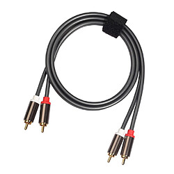 Câble audio 2RCA à 2RCA mâle à mâle pour amplificateur 1m DVD Home Theater