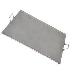 Avis Visiodirect Planche à rotir barbecue 5 mm en Fer coloris Gris - 50 x 33 cm