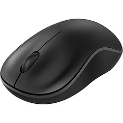 Souris Bluetooth, souris sans fil Bluetooth 2.4G double mode (Bluetooth 5.0 + USB), souris d'ordinateur avec récepteur USB, souris ergonomique compatible avec ordinateur portable, iPad, MacOS, PC, Windows, Android (noir)