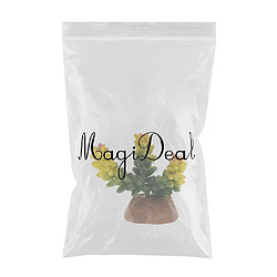 Acheter 2Pack Plante Succulente Avec Ornement Vivarium Terrarium Vivarium Terrarium à Base De Résine