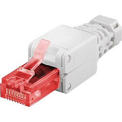 Avis ENTER-WEB Fiche RJ45 CAT6 (à sertir sans pince)