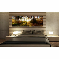 Paris Prix Tableau Imprimé Beautiful Forest 40 x 120 cm