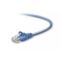 Belkin UTP CAT5e 0.5m câble de réseau 0,5 m U/UTP (UTP) Bleu