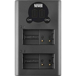 Newell Double Chargeur DL-USB-C pour DMW-BLF19