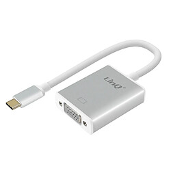 Adaptateur Vidéo USB type C Mâle vers VGA Hub Vidéo Linq Argent