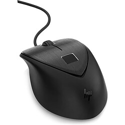 HP USB Fingerprint Mouse souris Ambidextre Noir