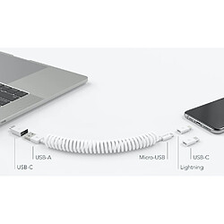 Vonmaehlen VONMAHLEN Câble tout-en-un USB A/micro USB+USB C+Lightning MFI Allroundo® Blanc