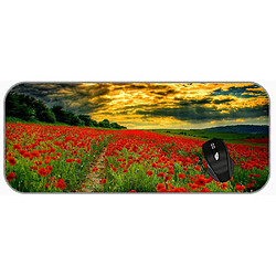 Universal (750x300x3) xxl Professionnel grand pad de souris rouge Cloud de fleur de soleil Champ Pootpy Flower Landage