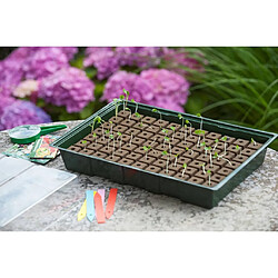 Avis Nature Kit de mini propagateur 7x11 cellules