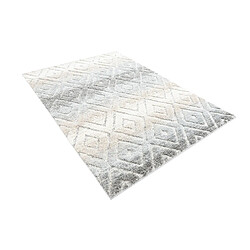 Hadorn Tapis 300x240 gris clair Vevey