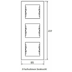 Schneider Electric Sdn5801321 Cadre vertical de 3 éléments, Blanc