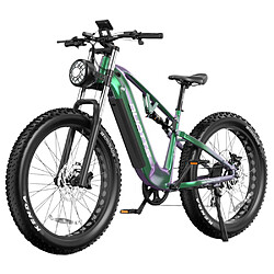 Vélo électrique DUOTTS E26, pneus 26 x 4,0 pouces,750W,48V 20 Ah,55 km/h,120 km -Vert Violet