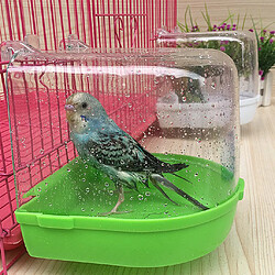 Avis baignoire chinchilla Hamster lapin oiseau Bird