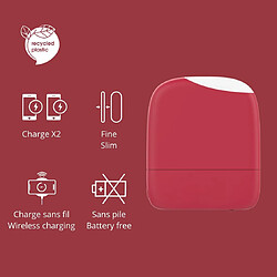 SANAG Ice-Powerbank 5000 mAh Rouge pas cher