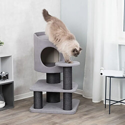 TRIXIE Griffoir pour chat Tazio XXL Gris