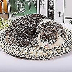 Universal 1pc mini animaux en peluche mignons - chats endormis pour la maison artisanat brun chat