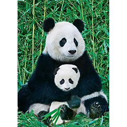 Eurographics Panda et bAbA Puzzle 1000 piAces Multicolore 6000-0173