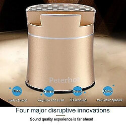 Universal PTH307 Portable Mini Wireless BT enceinte pas cher