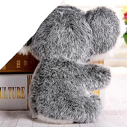 Avis Universal Super mignon petit koala ours pelush12cm