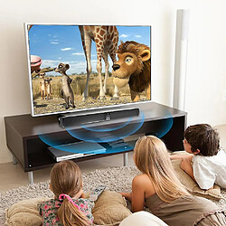 Universal Bordeau Bluetooth séparable 20W TV. pas cher