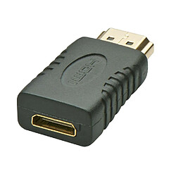 Kalea-Informatique Adaptateur Mini HDMI (= HDMI Type C) Femelle vers HDMI Mâle (= HDMI Type A)