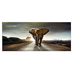 EPIKASA Impression sur Toile Éléphant, Multicouleur, Polyester, 100x3x70 cm