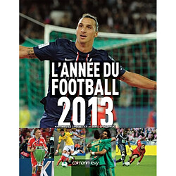 L'année du football 2013