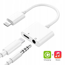 Acheter GUPBOO Câble Adaptateur iPhone Chargeur Lightning Casque,JL1195