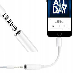 Avis GUPBOO Câble Adaptateur iPhone Lightning vers AUX JACK 3.5mm,JL142