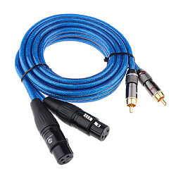 2 XLR femelle à 2 RCA mâle câble audio HIFI pour amplificateur mélangeur 2m