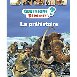 La préhistoire - Occasion